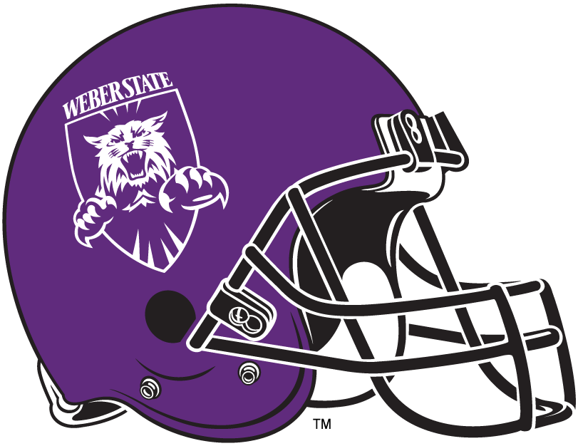 Weber State Wildcats 2006-2011 Helmet Logo iron on transfers for fabric